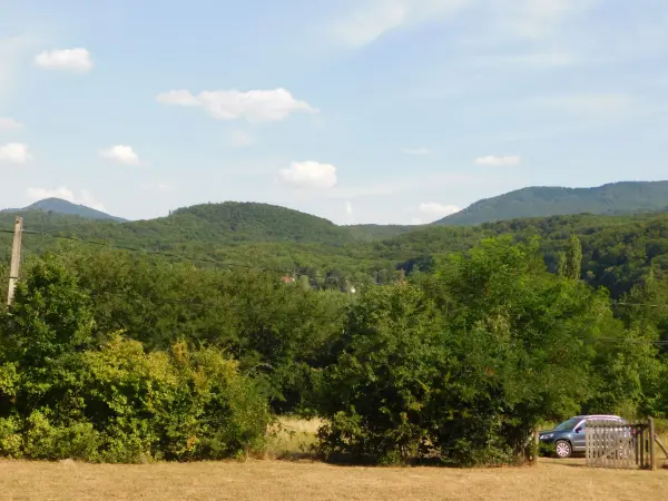 Eladó Építési telek, Parád 3414 m² 39 M Ft