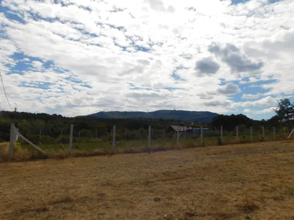 Eladó Építési telek, Parád 1683 m² 12 M Ft