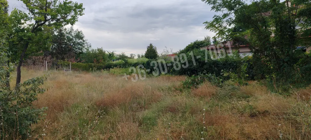 Pest megye - Pócsmegyer(Surány)
