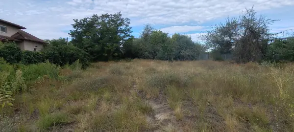 Eladó Építési telek, Pócsmegyer(Surány) 1246 m² 22.9 M Ft