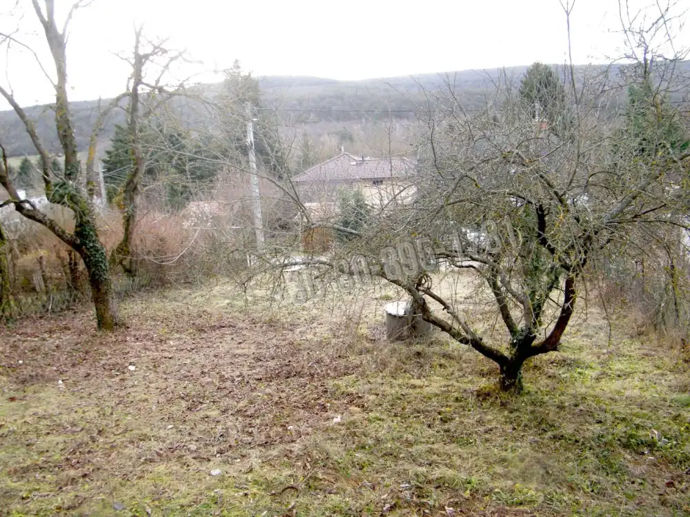 Pest megye - Remeteszőlős