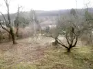 Pest megye - Remeteszőlős