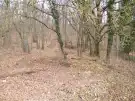 Pest megye - Remeteszőlős