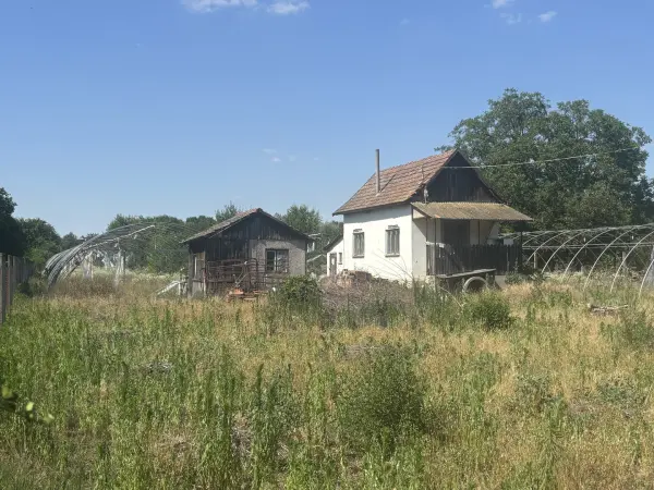 Eladó Építési telek, Sándorfalva 4379 m² 30 M Ft
