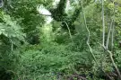 Somogy megye - Somogydöröcske