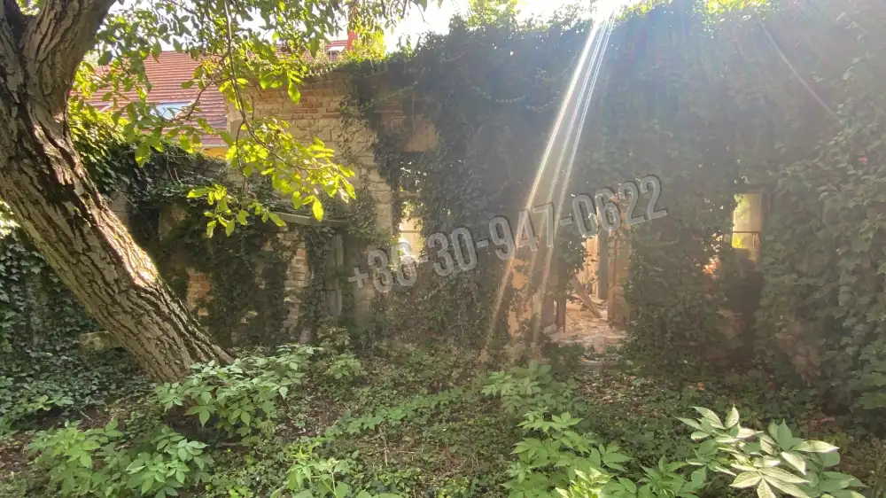 Győr-Moson-Sopron megye - Sopron