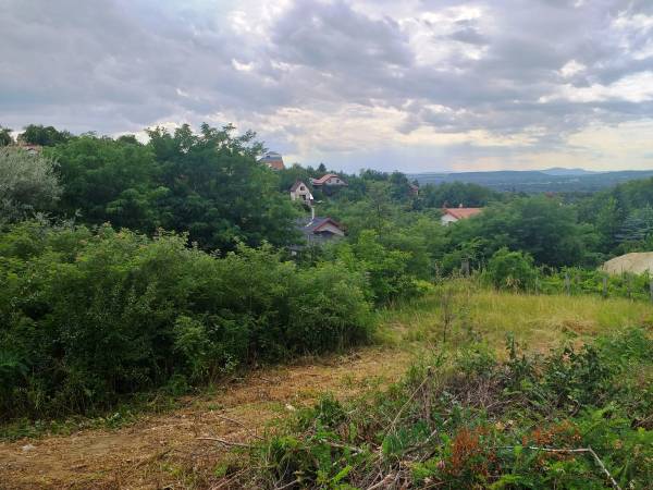 eladó  Építési telek, Szada