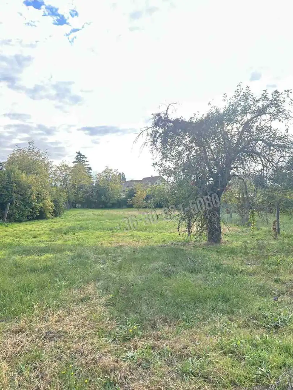 Pest megye - Szada