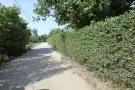 Csongrád megye - Szatymaz