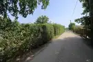 Csongrád megye - Szatymaz