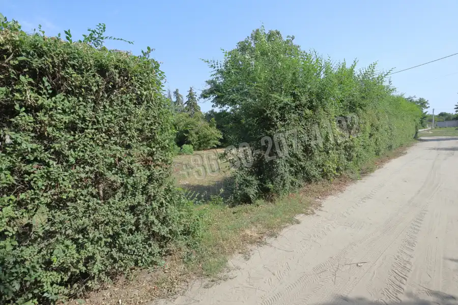 eladó  Építési telek, Szatymaz