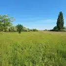 Fejér megye - Székesfehérvár