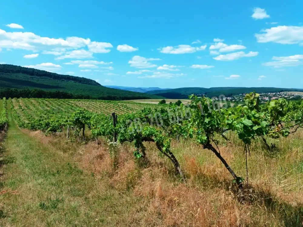 Nógrád megye - Szendehely