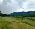 Nógrád megye - Szendehely