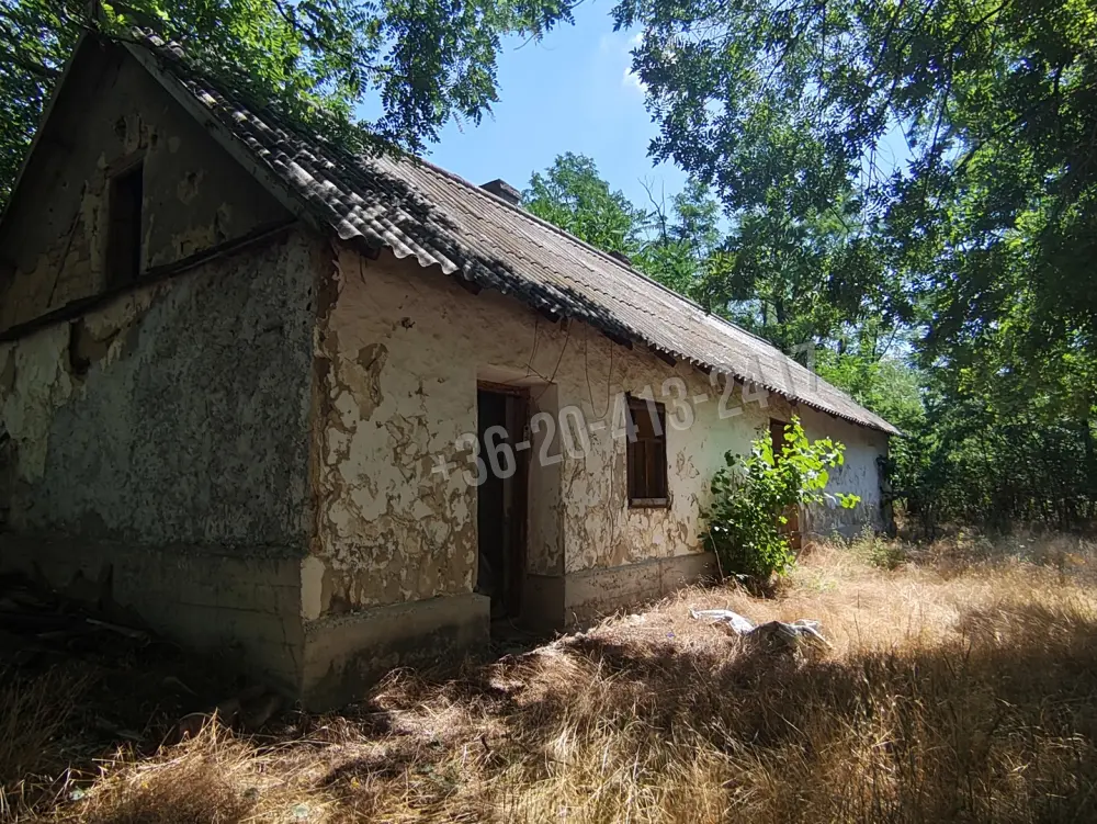 Bács-Kiskun megye - Szentkirály