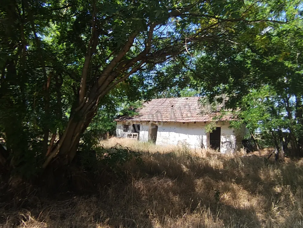 Bács-Kiskun megye - Szentkirály