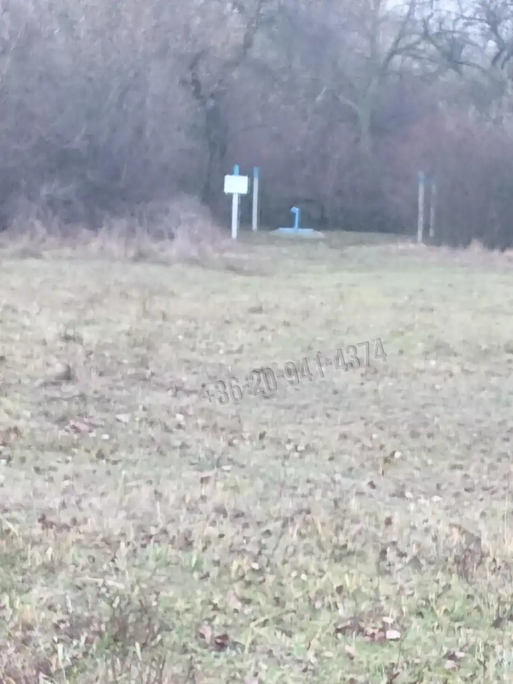 Pest megye - Szigetszentmiklós