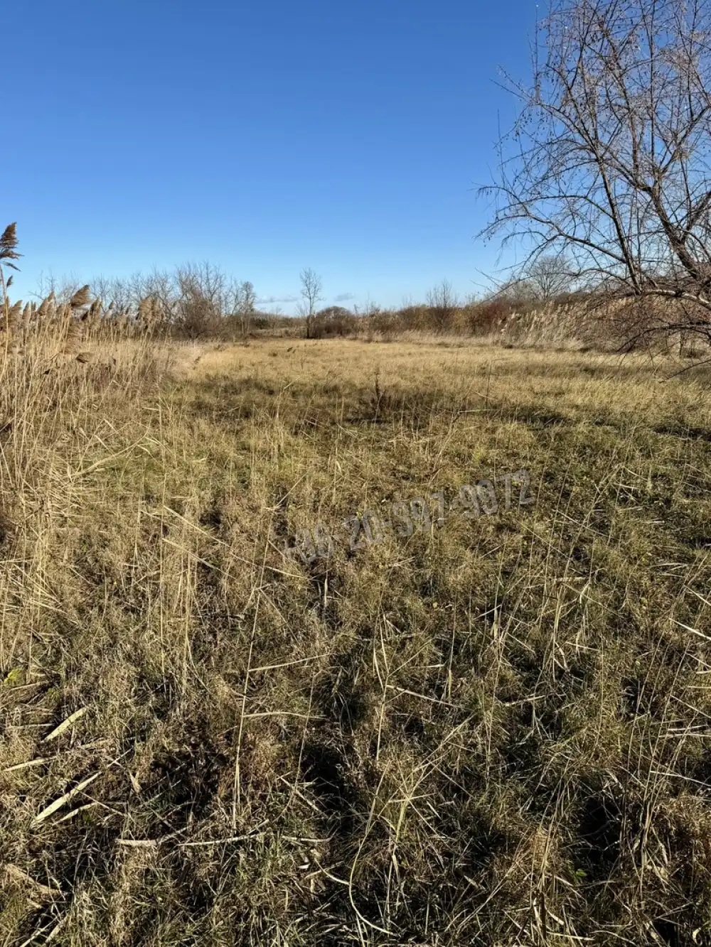 Pest megye - Szigetszentmiklós