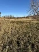 Pest megye - Szigetszentmiklós