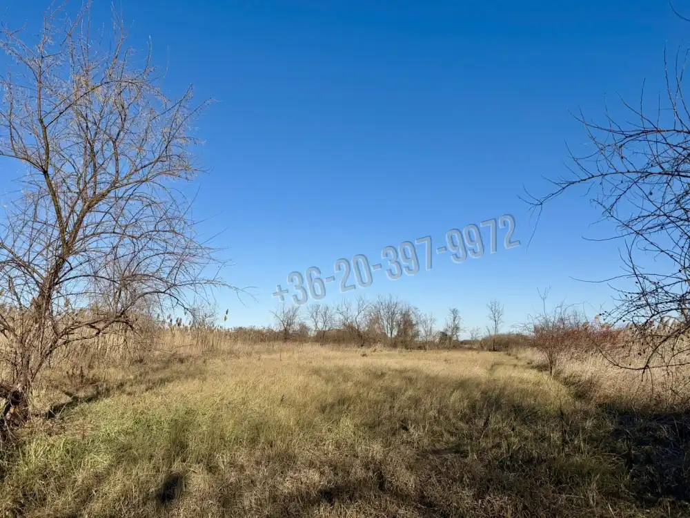 Pest megye - Szigetszentmiklós