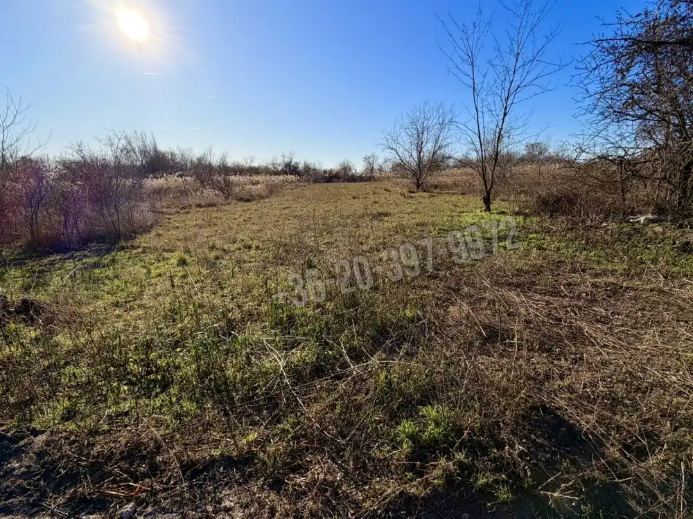 Pest megye - Szigetszentmiklós