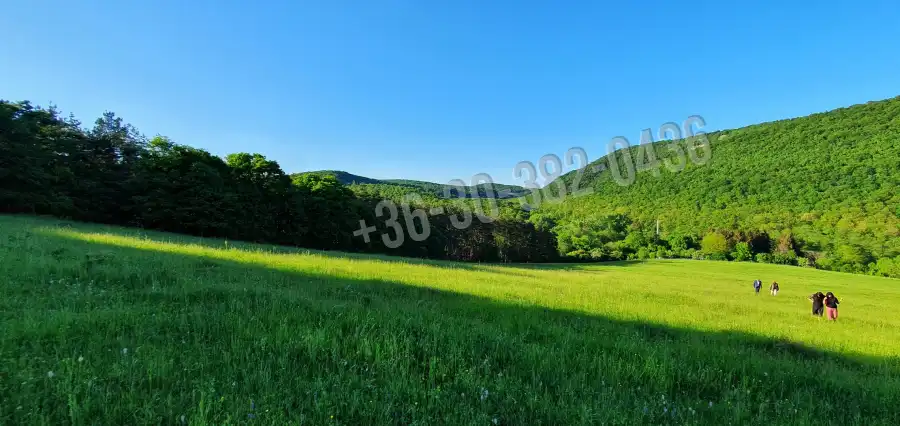 eladó  Építési telek, Szokolya