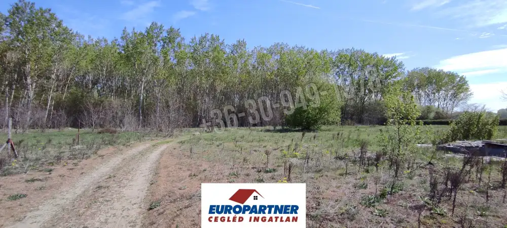 Pest megye - Tápiószentmárton