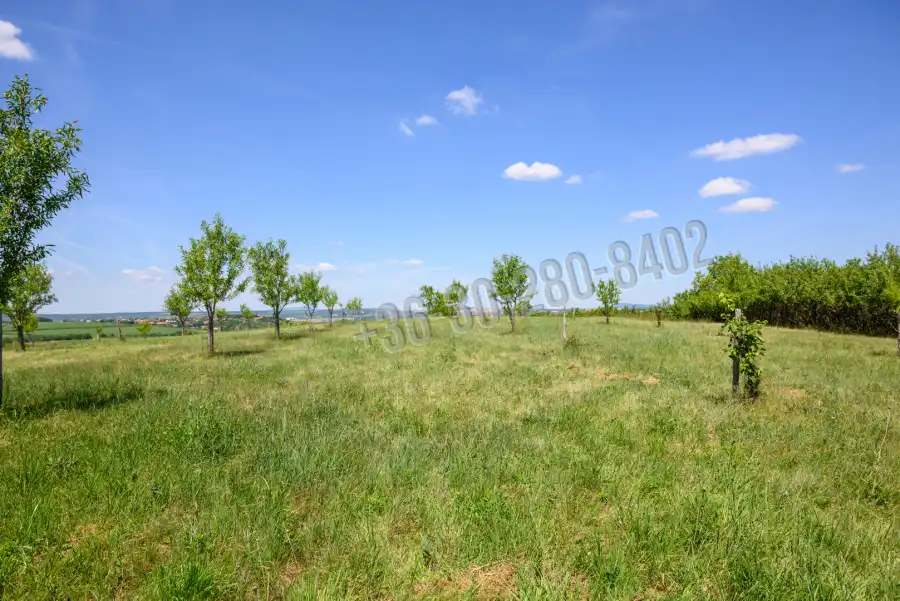 eladó  Építési telek, Telki