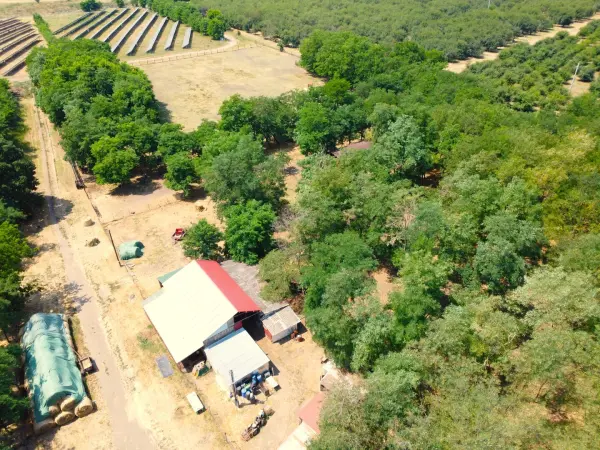 Eladó Építési telek, Tenk 11599 m² 32.9 M Ft