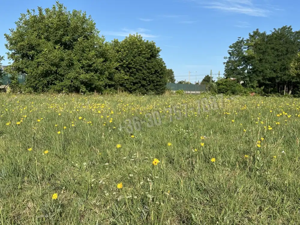 Pest megye - Tököl