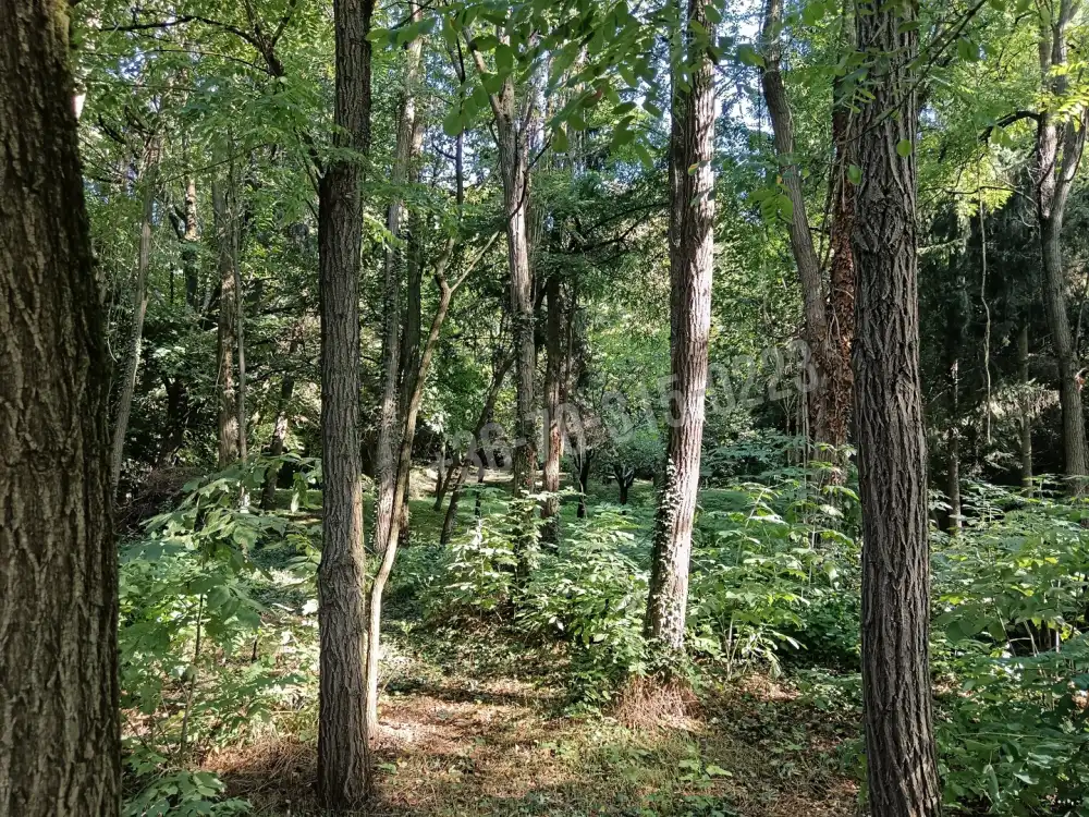 Zala megye - Tornyiszentmiklós