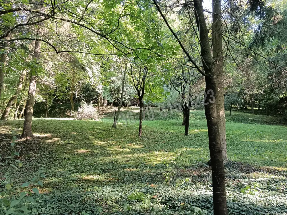 Zala megye - Tornyiszentmiklós