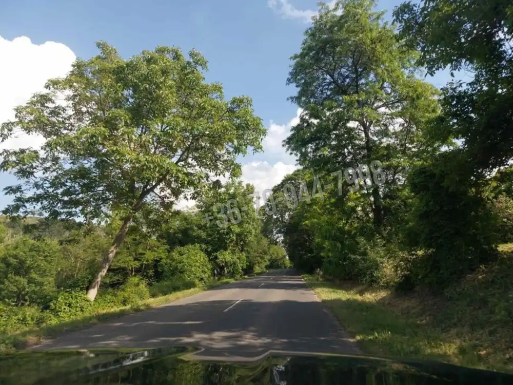 Pest megye - Törökbálint