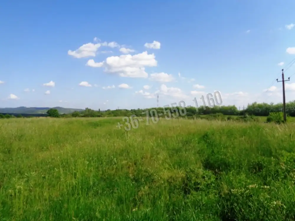 Pest megye - Vác