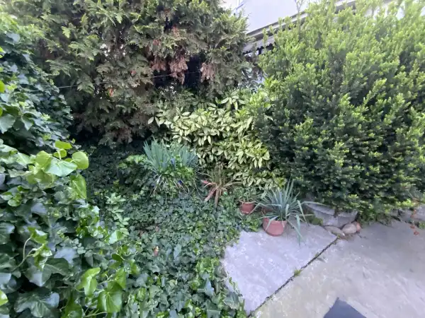 Eladó Építési telek, Vác 160 m² 29.9 M Ft