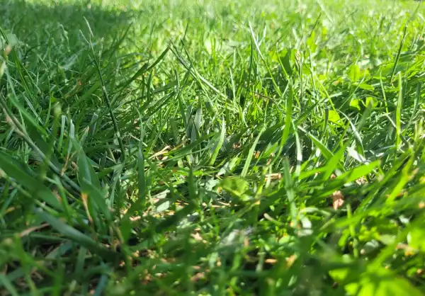 Eladó Építési telek, Vác 400 m² 25.9 M Ft
