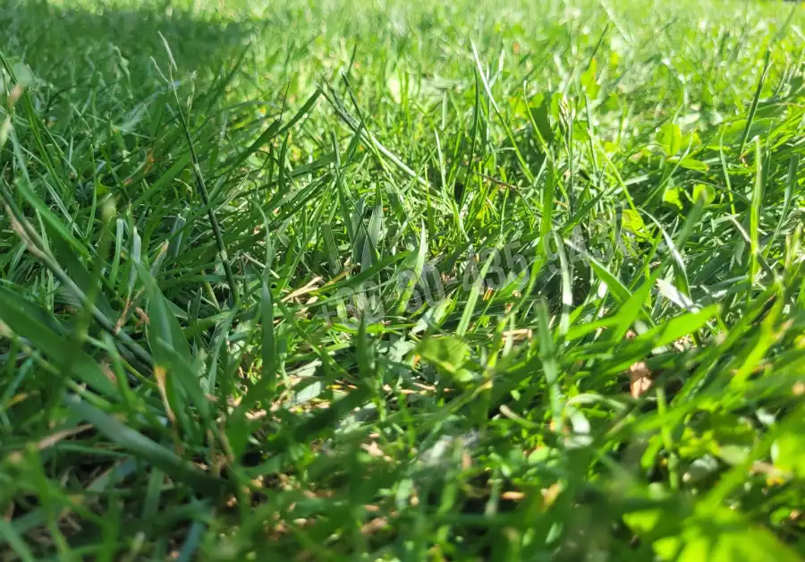 eladó  Építési telek, Vác