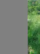 Pest megye - Vác