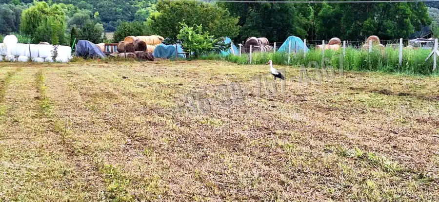 eladó  Építési telek, Vácduka