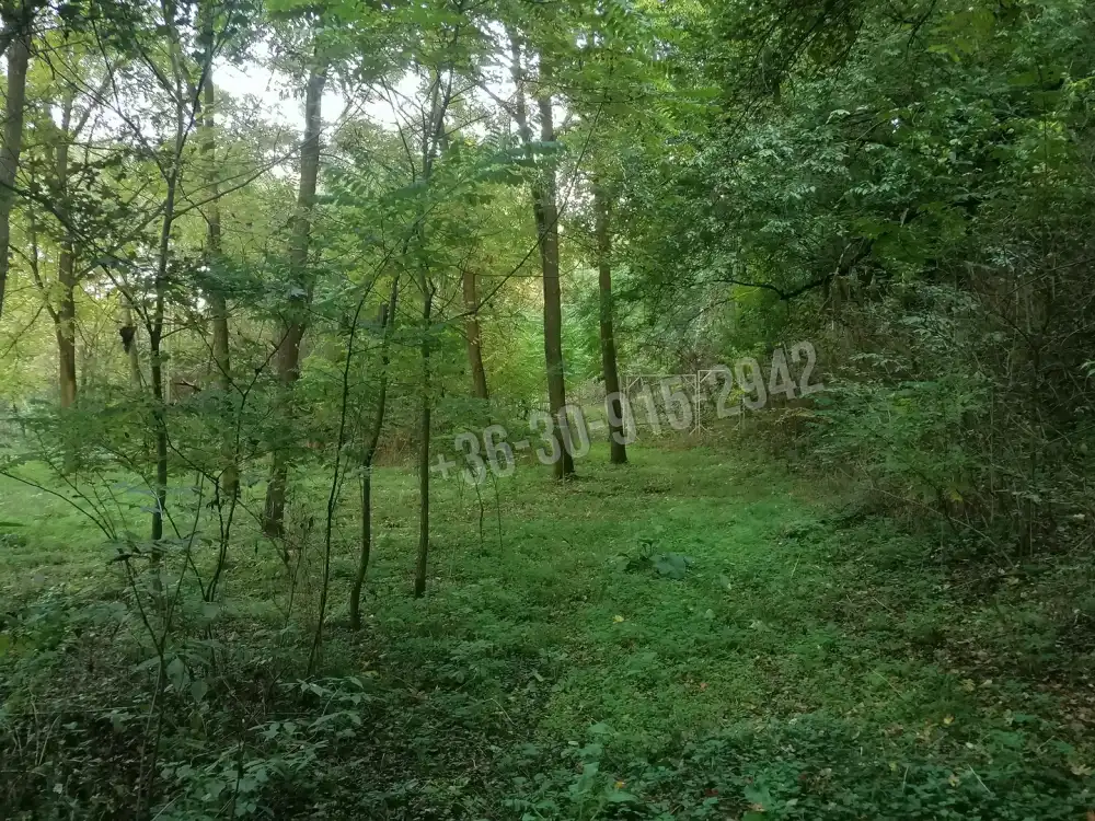 Pest megye - Vácduka