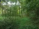 Pest megye - Vácduka
