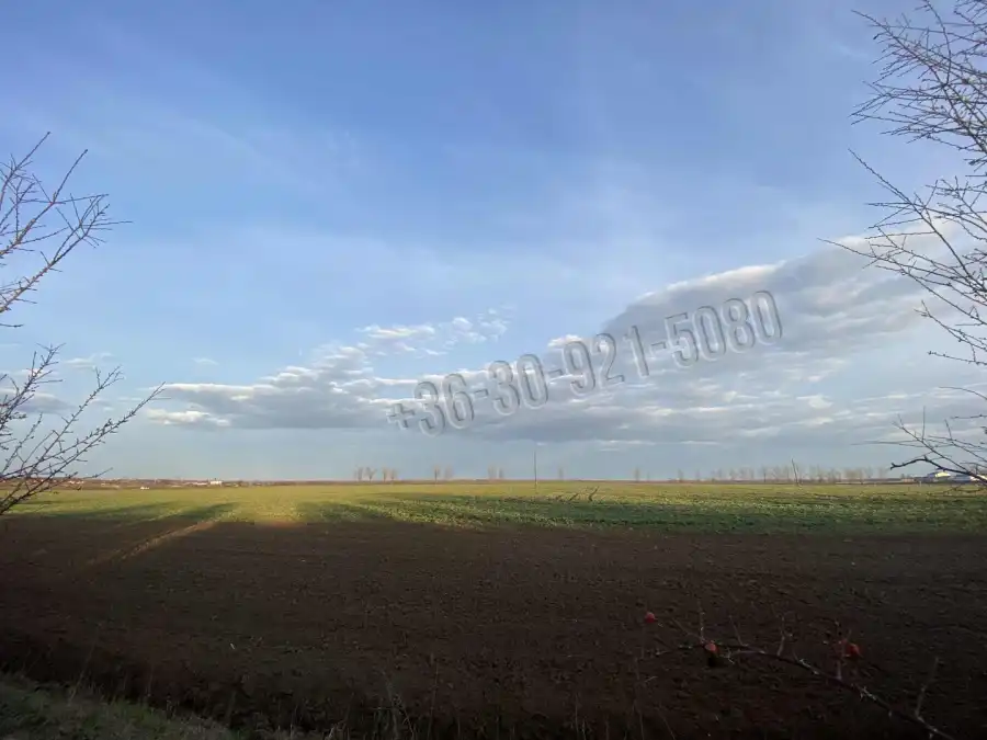 eladó  Építési telek, Valkó