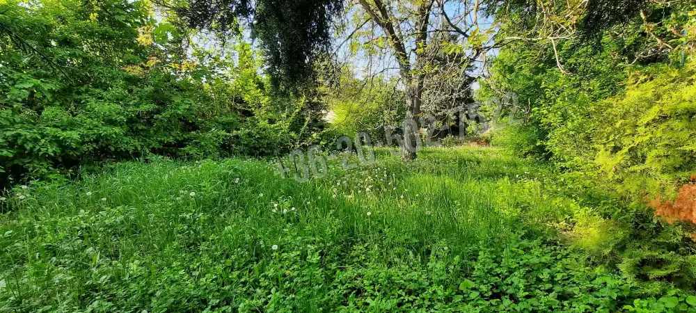 Pest megye - Verőce