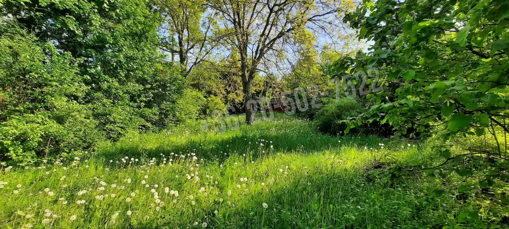 Pest megye - Verőce