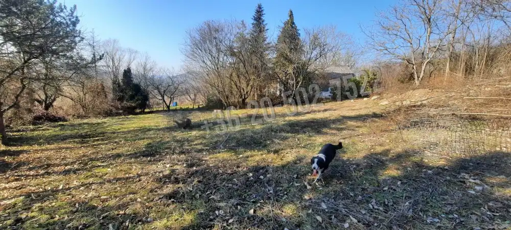 Pest megye - Verőce