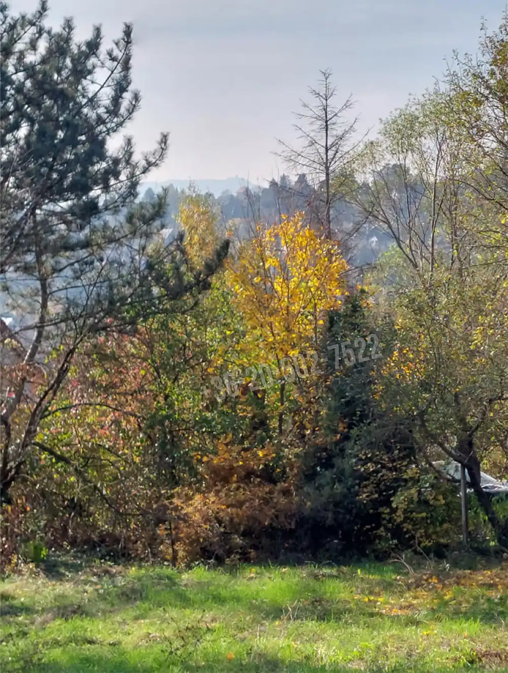 Pest megye - Verőce