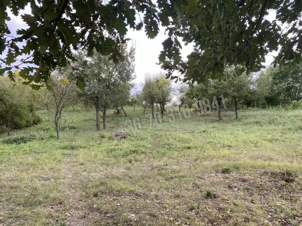 Pest megye - Verőce