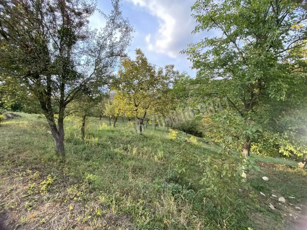 Pest megye - Verőce
