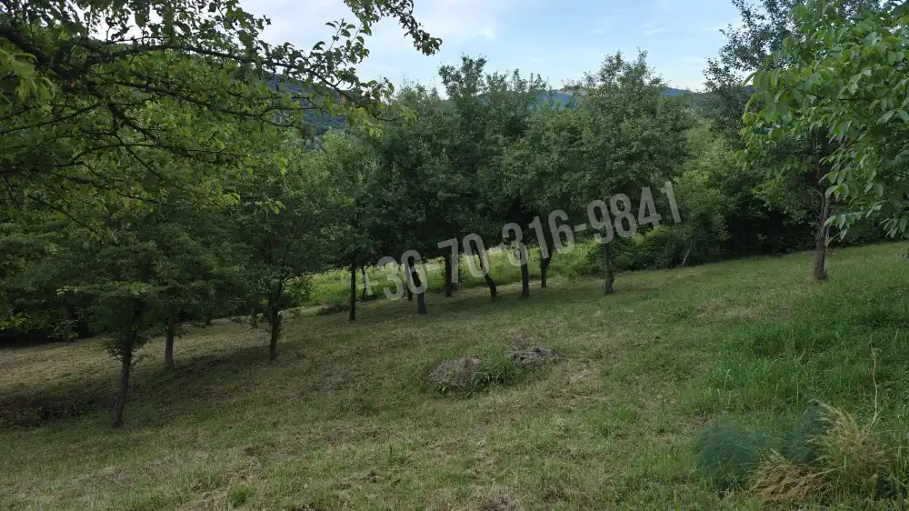 Pest megye - Verőce