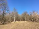 Pest megye - Verőce